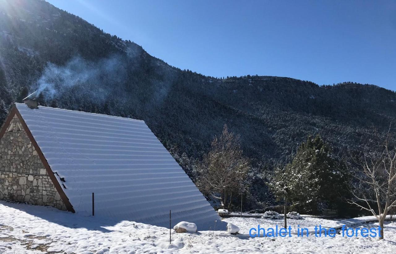 Salet Στο Δασοσ Villa Калаврита Екстериор снимка