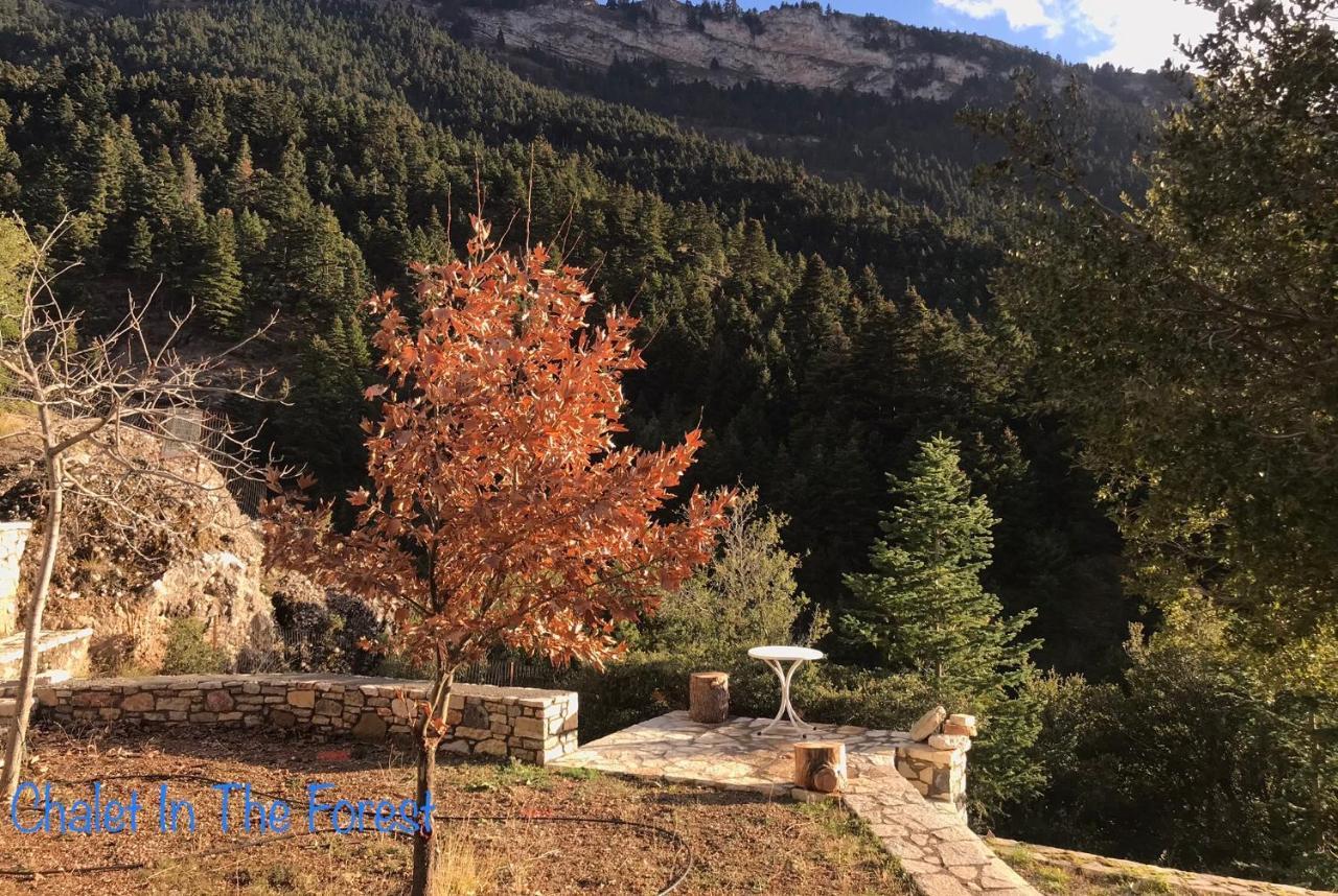 Salet Στο Δασοσ Villa Калаврита Екстериор снимка