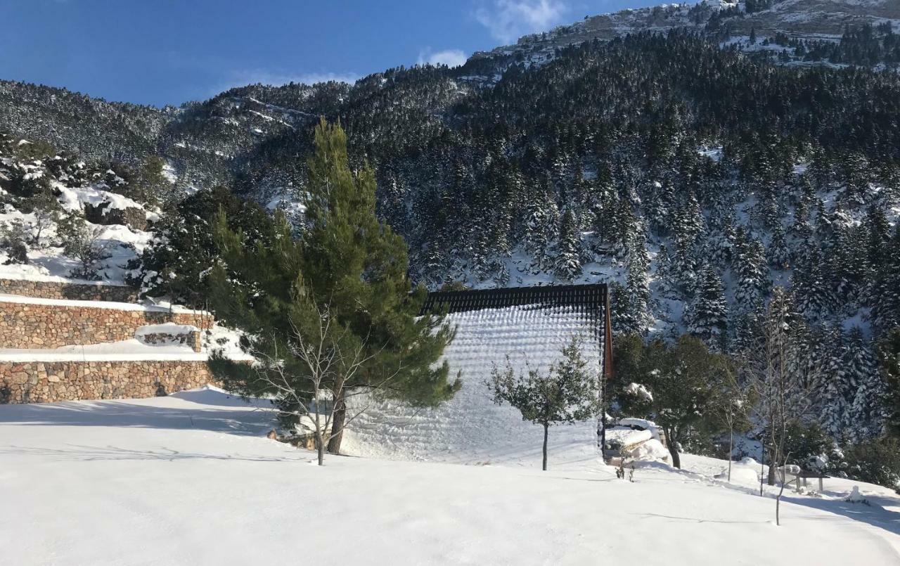 Salet Στο Δασοσ Villa Калаврита Екстериор снимка
