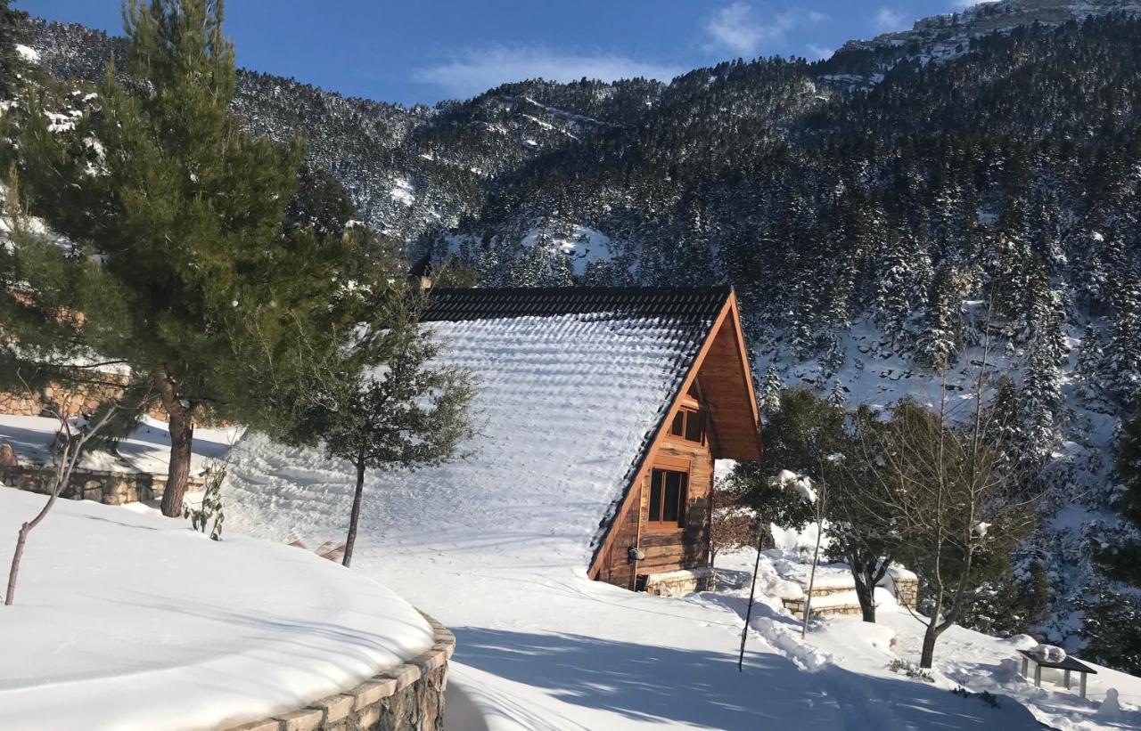 Salet Στο Δασοσ Villa Калаврита Екстериор снимка