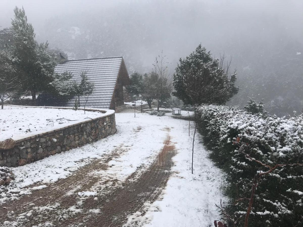 Salet Στο Δασοσ Villa Калаврита Екстериор снимка